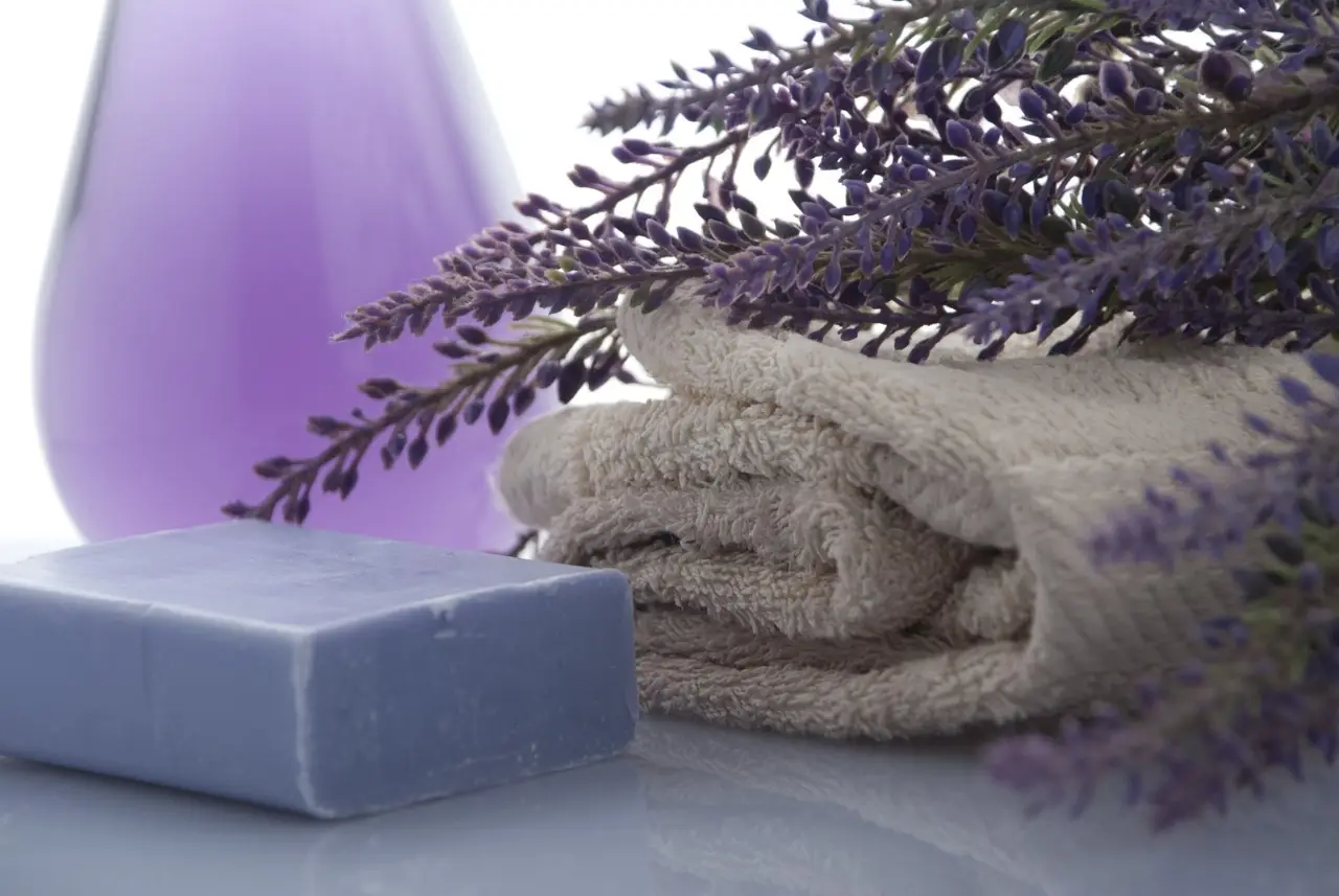 Bagno sempre profumato anche senza diffusori: il metodo semplice e duraturo Bagno sempre profumato anche senza diffusori: il metodo semplice e duraturo