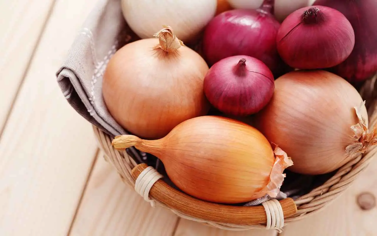 Cipolle da seme: il momento esatto per interrarle e garantirsi un raccolto abbondante Cipolle da seme: il momento esatto per interrarle e garantirsi un raccolto abbondante