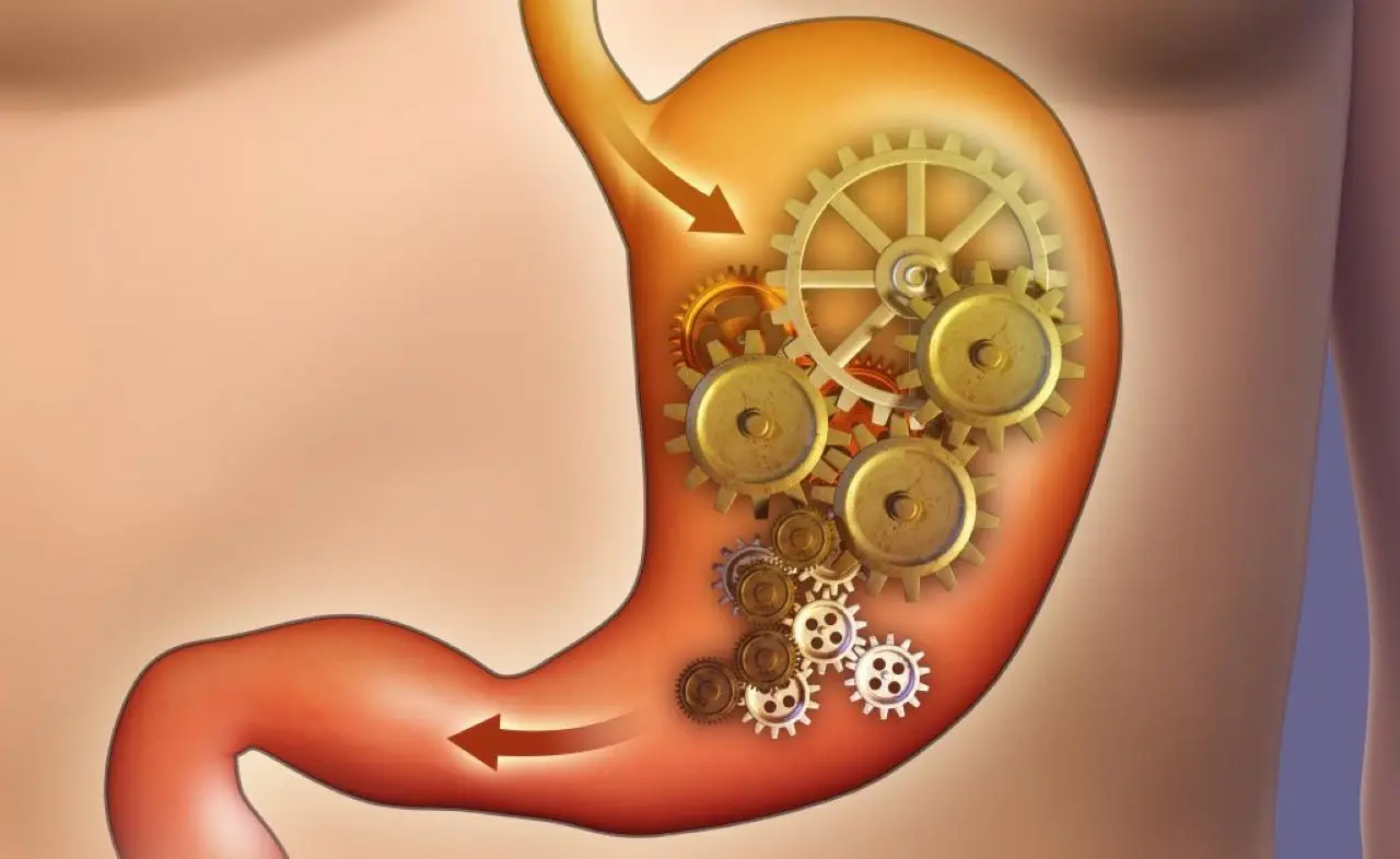 Il frutto che stimola il metabolismo: perfetto a colazione Il frutto che stimola il metabolismo: perfetto a colazione