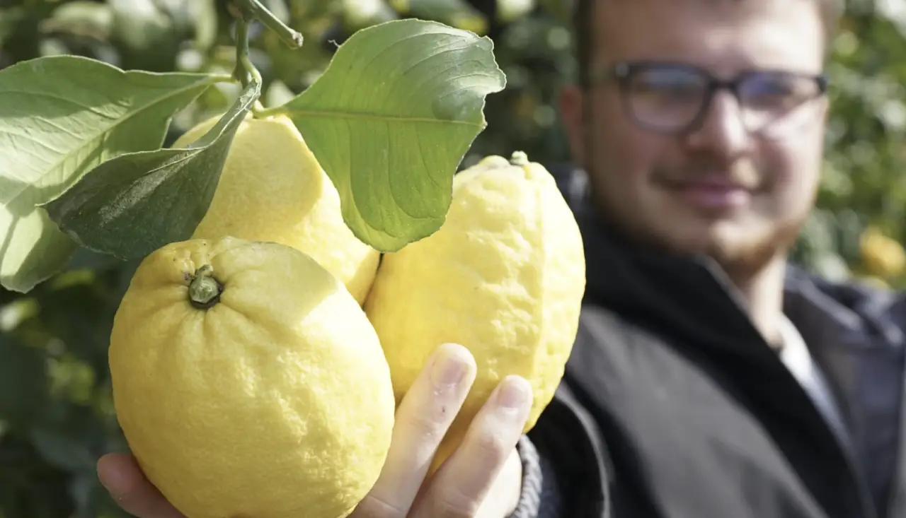 Scopri il comune errore con il limone che rischia di danneggiare il tuo stomaco Scopri il comune errore con il limone che rischia di danneggiare il tuo stomaco