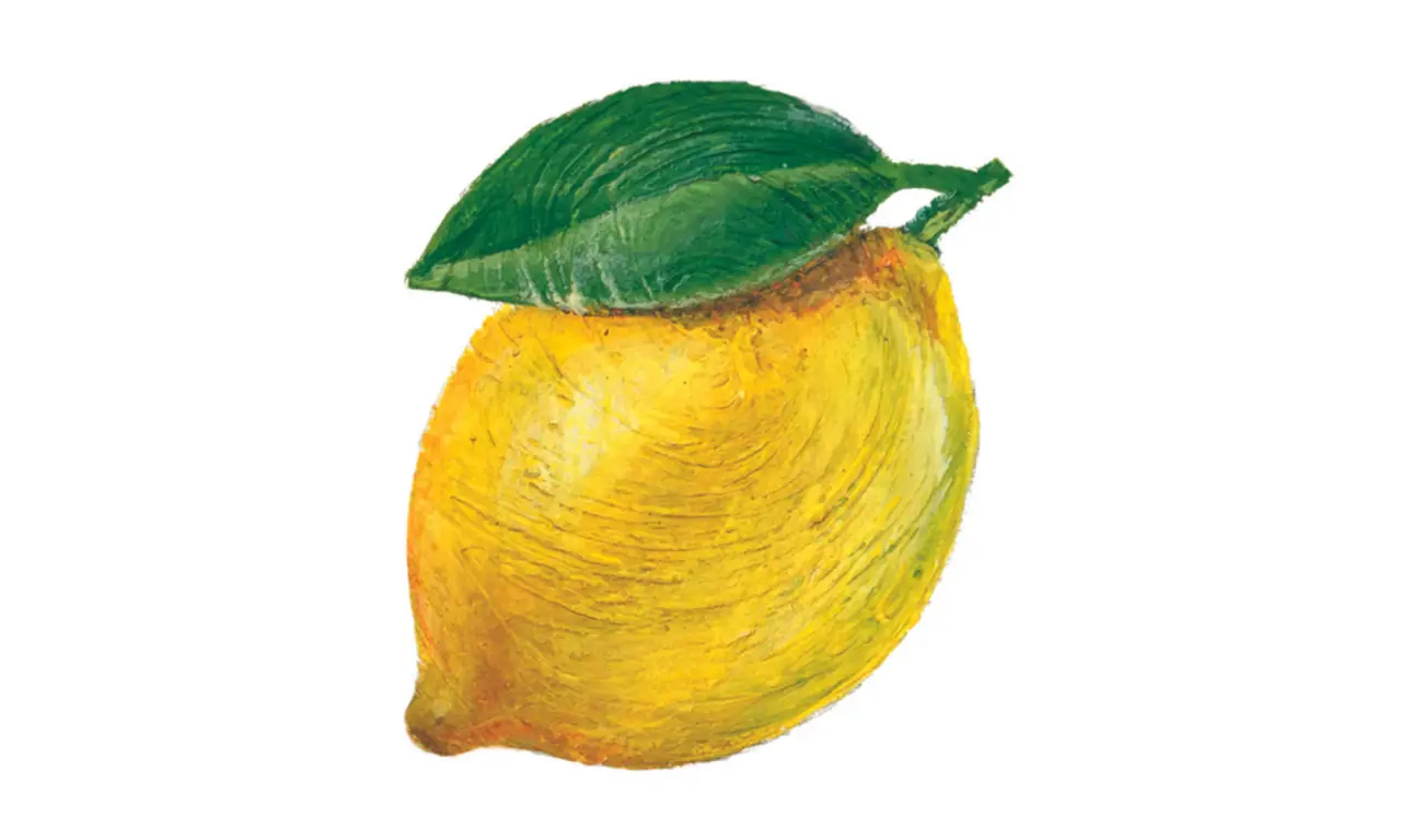 Scopri il comune errore con il limone che rischia di danneggiare il tuo stomaco Scopri il comune errore con il limone che rischia di danneggiare il tuo stomaco