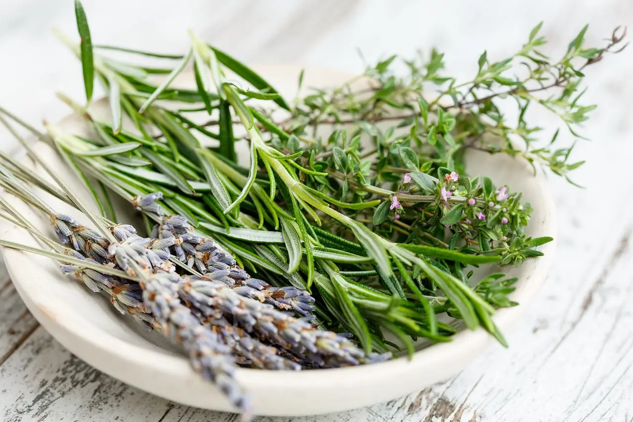Piante aromatiche in cucina: l’errore che blocca la crescita e come evitarlo subito Piante aromatiche in cucina: l’errore che blocca la crescita e come evitarlo subito