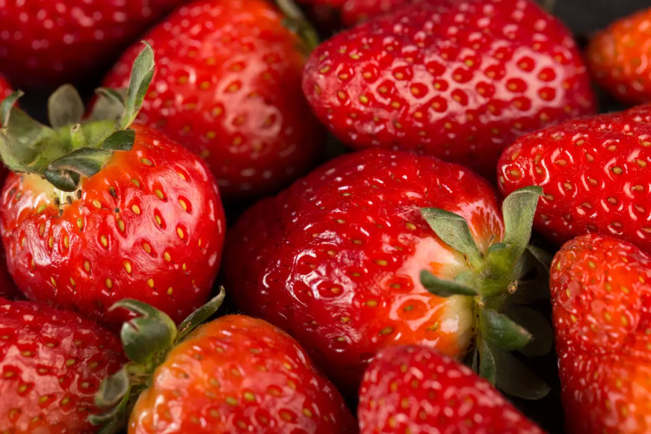 Scopri la strategia migliore per conservare le fragole fresche più a lungo Scopri la strategia migliore per conservare le fragole fresche più a lungo