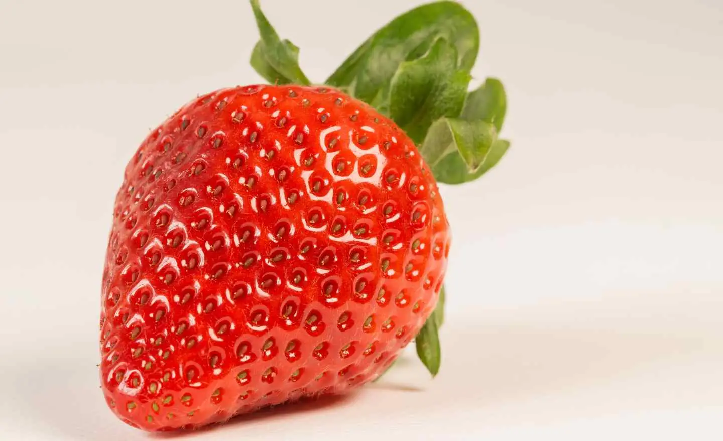 Scopri la strategia migliore per conservare le fragole fresche più a lungo Scopri la strategia migliore per conservare le fragole fresche più a lungo