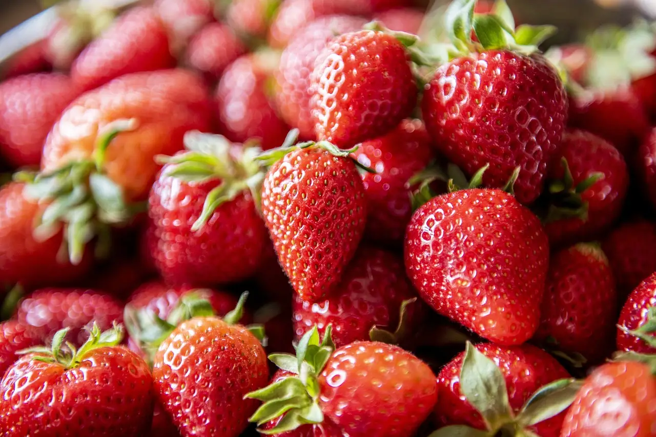 Scopri la strategia migliore per conservare le fragole fresche più a lungo Scopri la strategia migliore per conservare le fragole fresche più a lungo