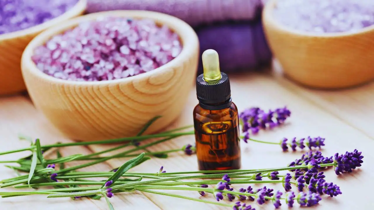 Come rendere antiodore la pattumiera con un mix naturale di bicarbonato e oli essenziali Come rendere antiodore la pattumiera con un mix naturale di bicarbonato e oli essenziali