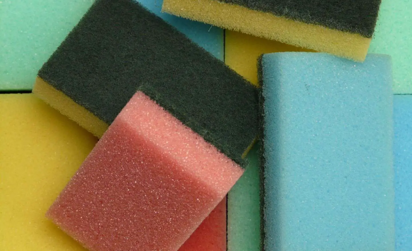 Spugne da cucina: scopri perché possono diventare un ricettacolo di batteri Spugne da cucina: scopri perché possono diventare un ricettacolo di batteri