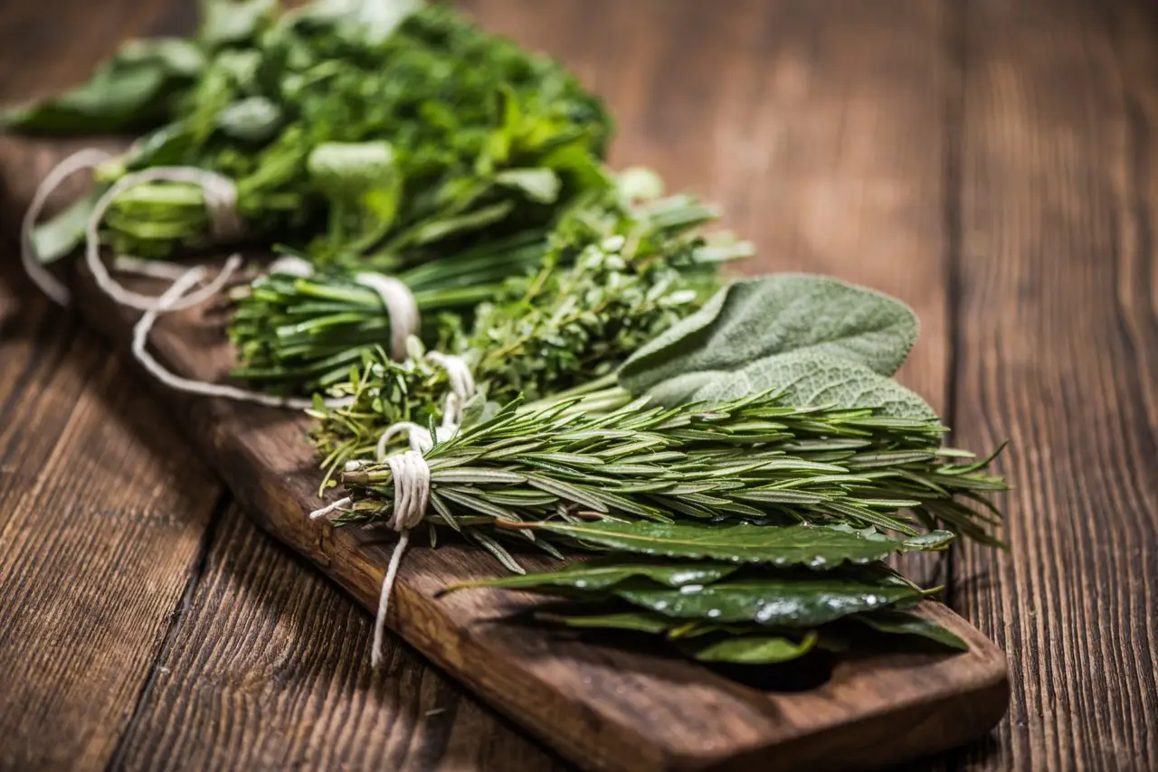 Il consiglio pratico per mantenere le erbe fresche in frigo senza che marciscano Il consiglio pratico per mantenere le erbe fresche in frigo senza che marciscano