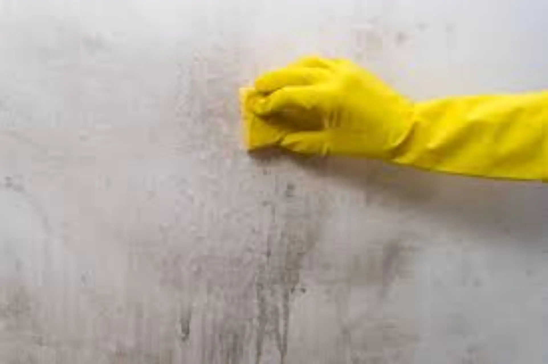 Come evitare il proliferare di muffe nei bagni con un ingrediente naturale e facile da usare Come evitare il proliferare di muffe nei bagni con un ingrediente naturale e facile da usare