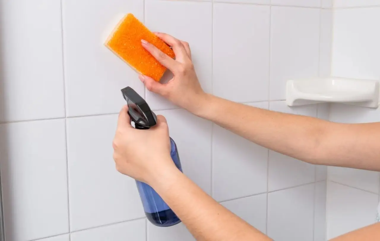 Bagno anti-calcare: la mousse naturale che sostituisce l’acido Bagno anti-calcare: la mousse naturale che sostituisce l’acido