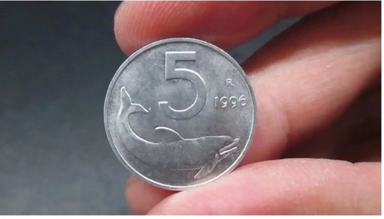 Moneta da 5 lire con delfino: se hai questo esemplare vale fino a 2.000 euro Moneta da 5 lire con delfino: se hai questo esemplare vale fino a 2.000 euro