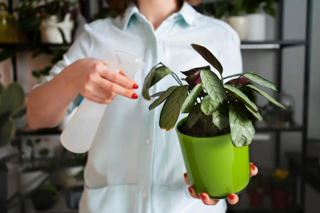 Come salvare le piante in vaso durante le ferie: il sistema a riserva d’acqua Come salvare le piante in vaso durante le ferie: il sistema a riserva d’acqua