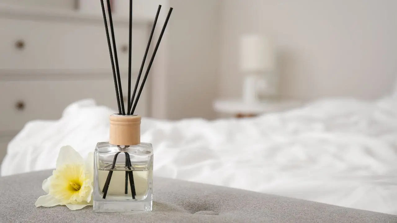 Il trucco per profumare tutta la casa senza spray chimici Il trucco per profumare tutta la casa senza spray chimici