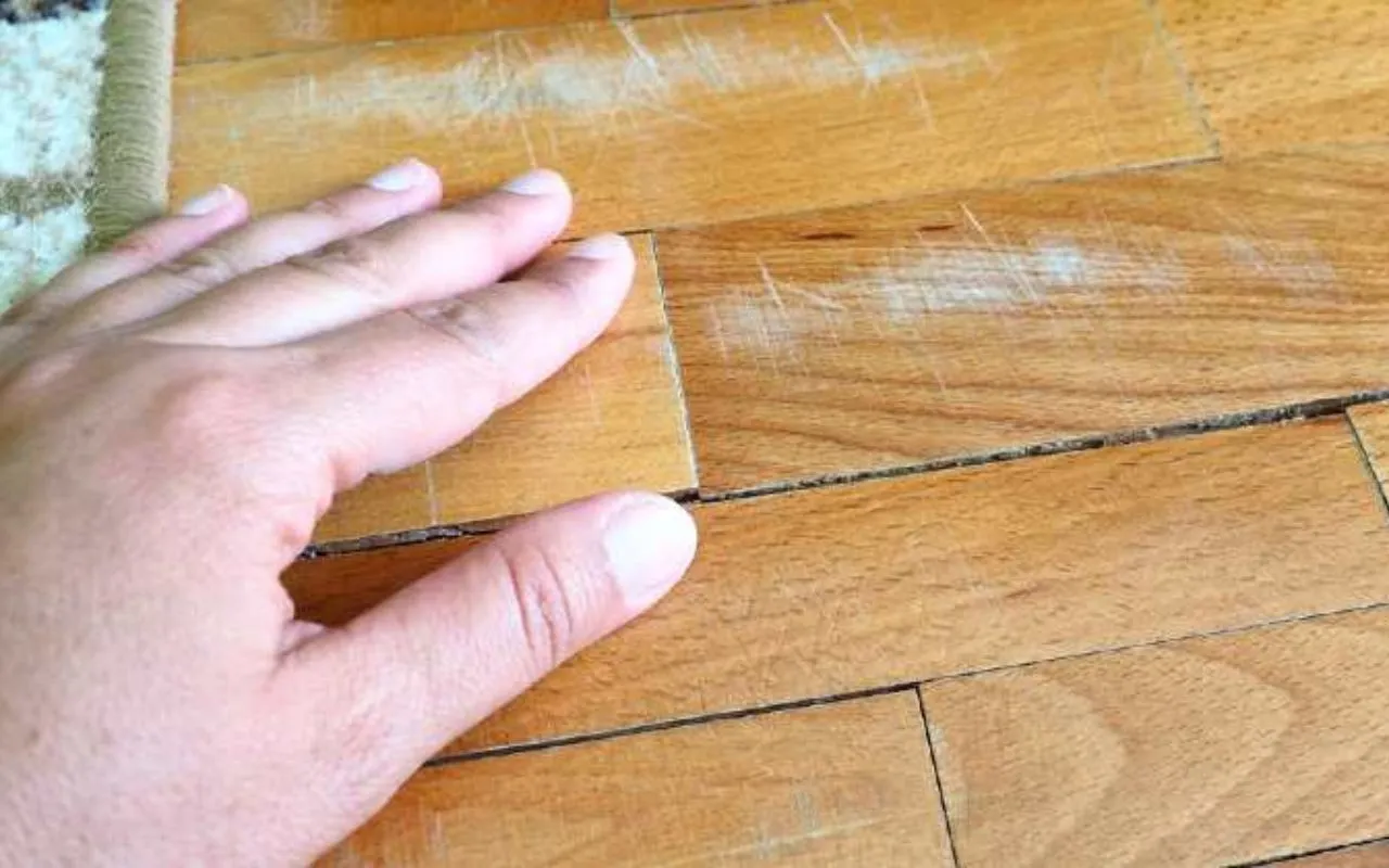 L’errore che rovina i pavimenti in legno: lo fanno in tanti L’errore che rovina i pavimenti in legno: lo fanno in tanti