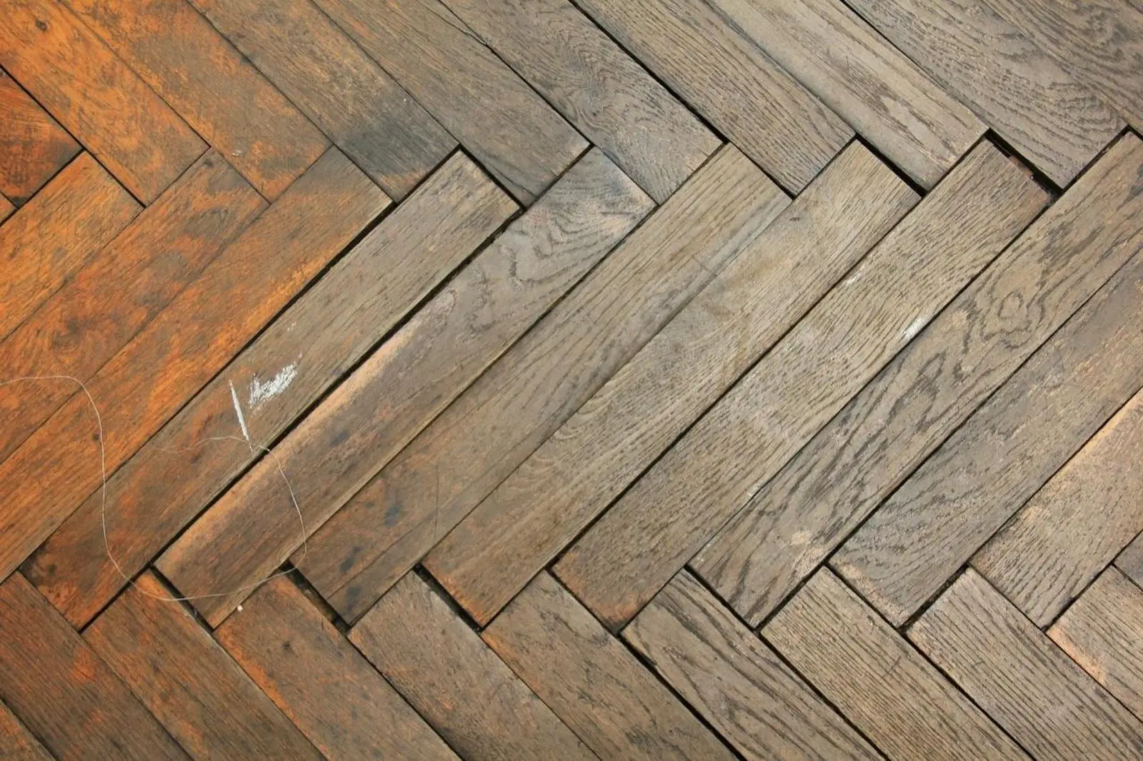 L’errore che rovina i pavimenti in legno: lo fanno in tanti L’errore che rovina i pavimenti in legno: lo fanno in tanti