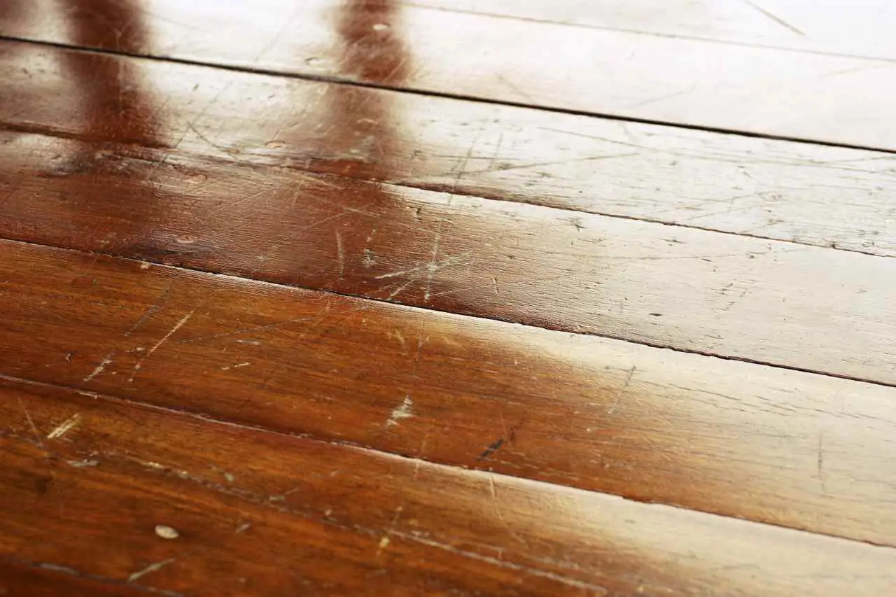 L’errore che rovina i pavimenti in legno: lo fanno in tanti L’errore che rovina i pavimenti in legno: lo fanno in tanti