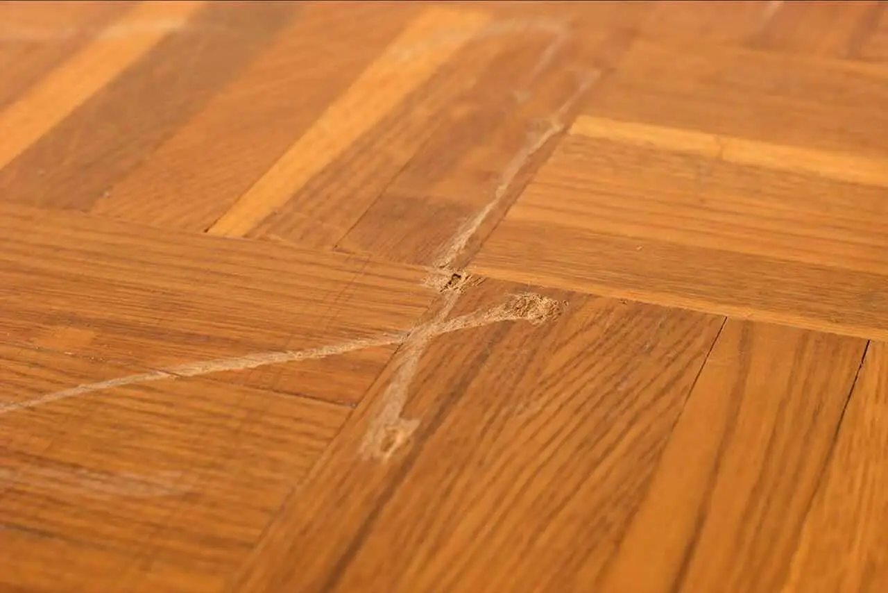 L’errore che rovina i pavimenti in legno: lo fanno in tanti L’errore che rovina i pavimenti in legno: lo fanno in tanti
