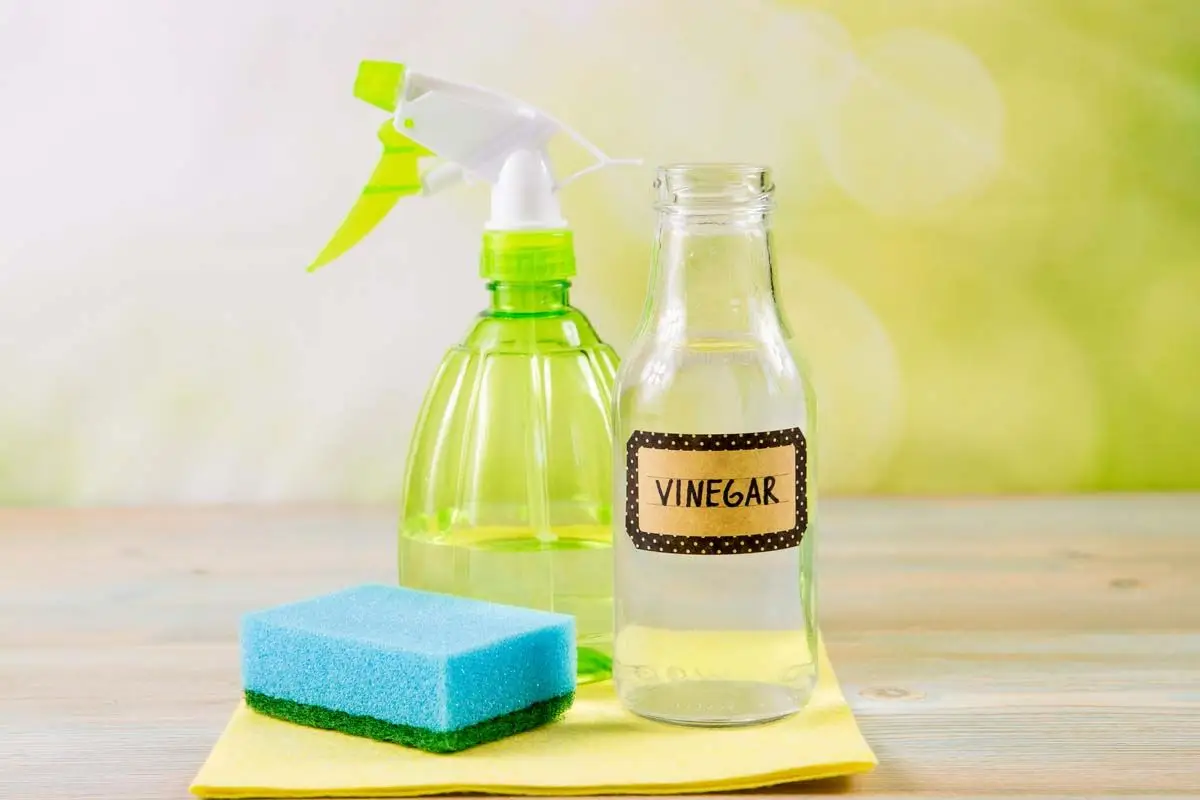 Come usare l’aceto bianco per pulire il bagno a fondo Come usare l’aceto bianco per pulire il bagno a fondo