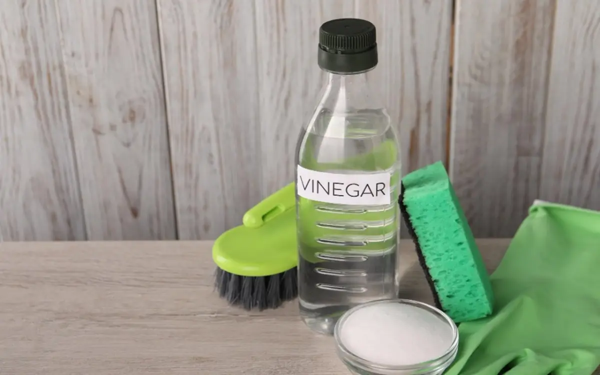 Come usare l’aceto bianco per pulire il bagno a fondo Come usare l’aceto bianco per pulire il bagno a fondo