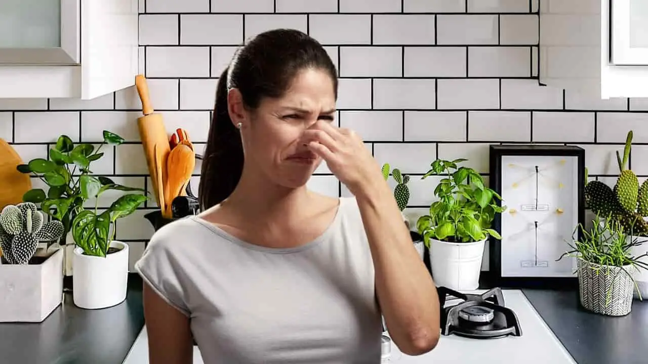 C’è un ingrediente insospettabile nel frigorifero che provoca stanchezza e malessere? C’è un ingrediente insospettabile nel frigorifero che provoca stanchezza e malessere?