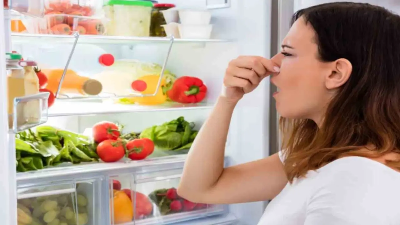 C’è un ingrediente insospettabile nel frigorifero che provoca stanchezza e malessere? C’è un ingrediente insospettabile nel frigorifero che provoca stanchezza e malessere?