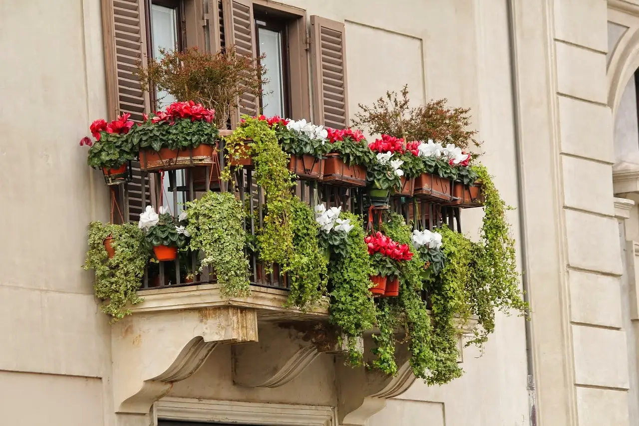 Vuoi un balcone sempre colorato? Le piante resistenti che fioriscono tutto l'anno Vuoi un balcone sempre colorato? Le piante resistenti che fioriscono tutto l'anno