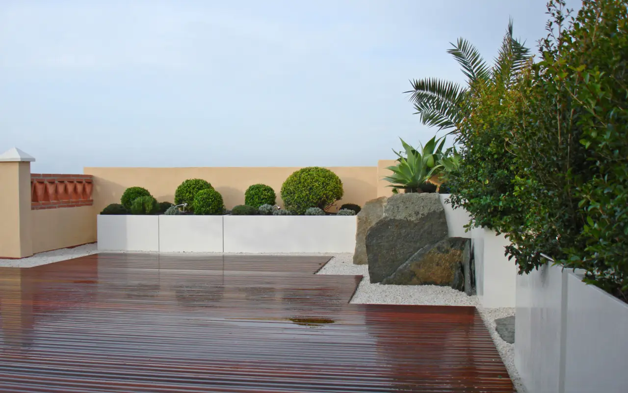 Trasforma il terrazzo con questi arbusti profumati: risultati sorprendenti Trasforma il terrazzo con questi arbusti profumati: risultati sorprendenti