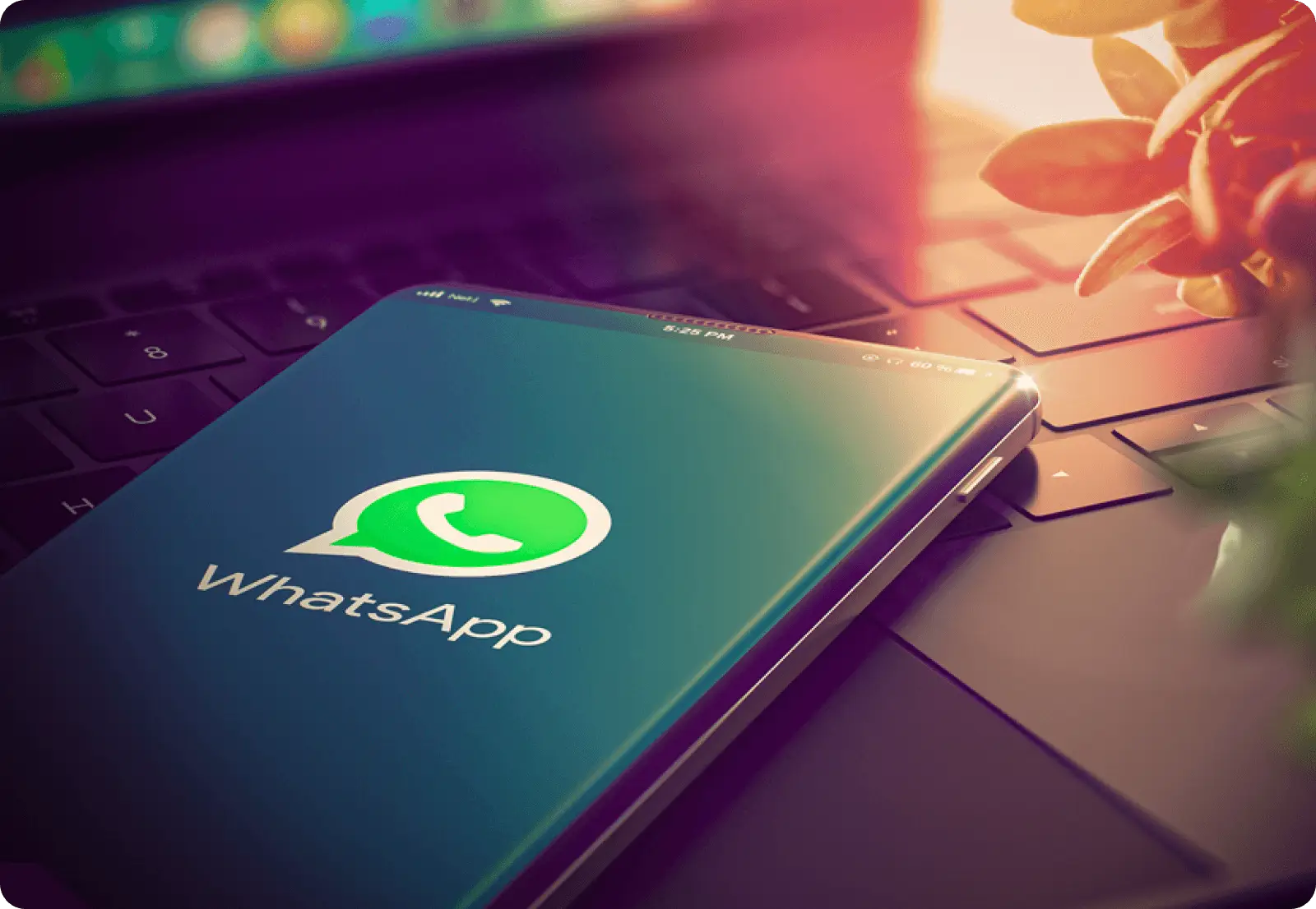 Scopri come gestire in sicurezza i vecchi messaggi su WhatsApp senza perdere dati Scopri come gestire in sicurezza i vecchi messaggi su WhatsApp senza perdere dati